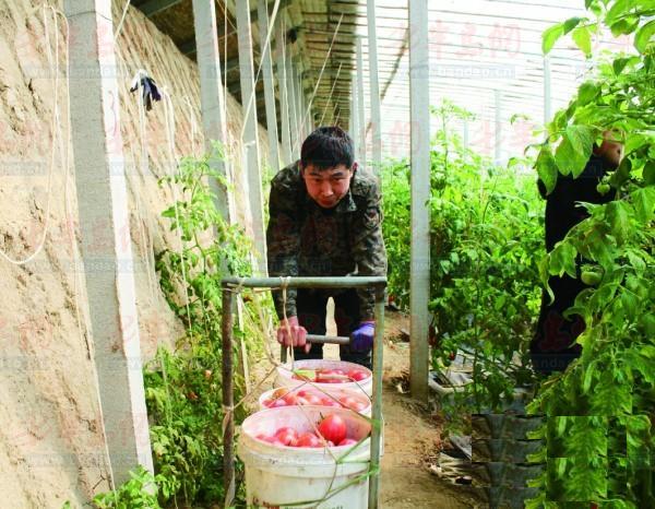图片关键词