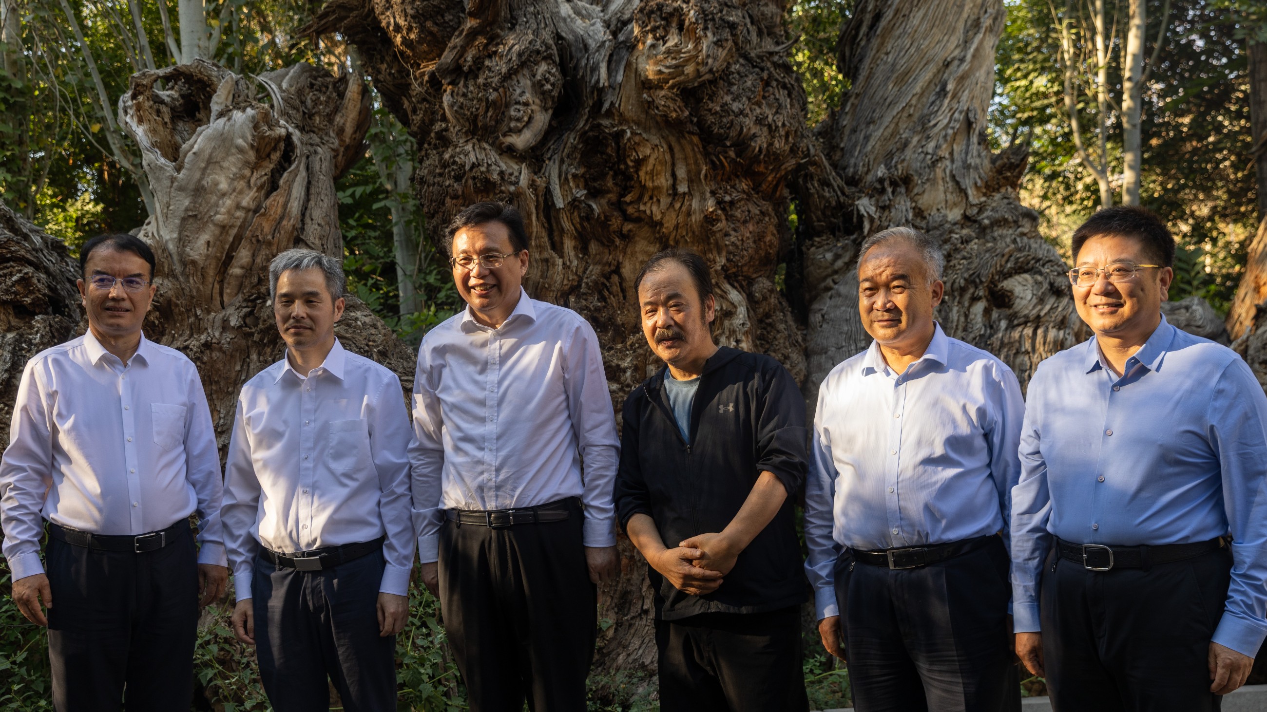 图片关键词