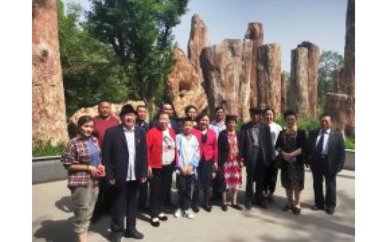 获评“全国最美家庭”的22户新疆家庭走进ABG集团集