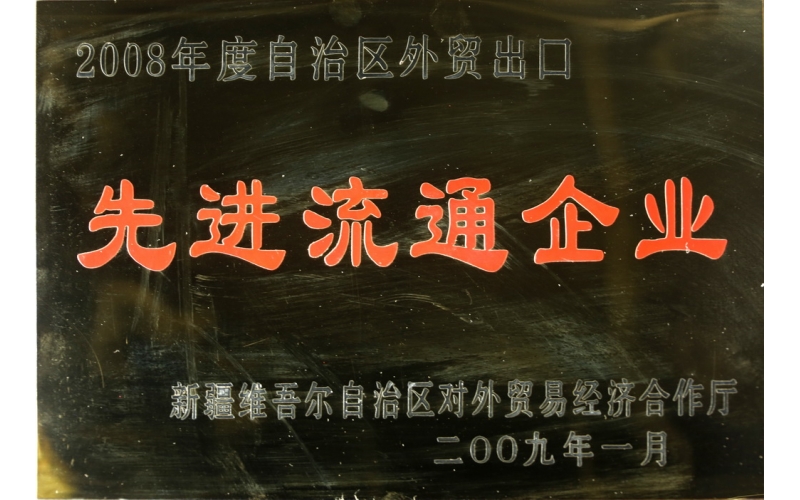 2009年新疆表贸出口先进企业